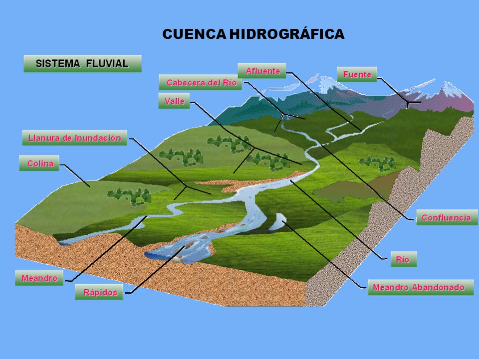 Cuenca Hidrográfica — Wikisabio 3686