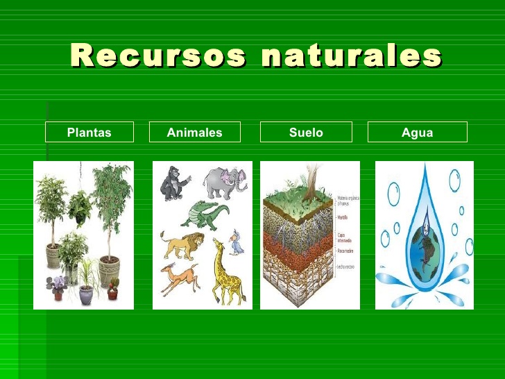 Que Son Los Recursos Naturales Recursos Naturales Rlbuhos Medium