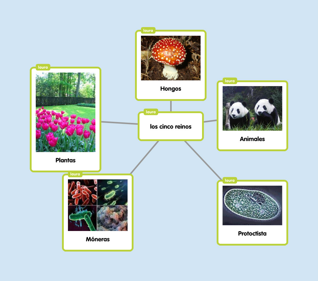 Los Cinco Reinos. Los Cinco Reinos De La Naturaleza Es La Taxonomía