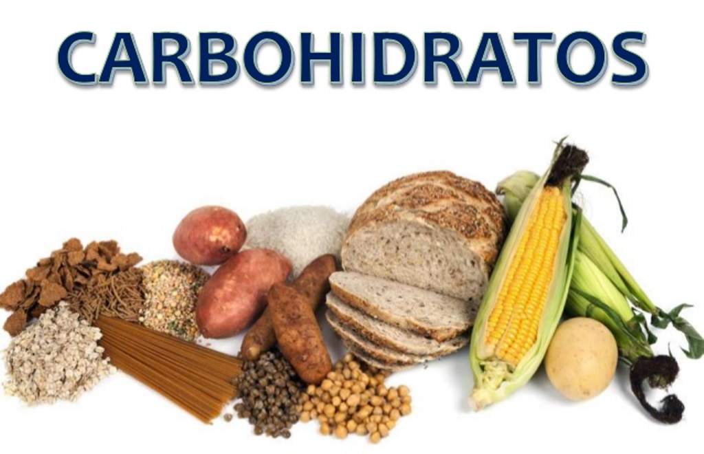 Los Carbohidratos | Hidratos De Carbono | Química | Wikisabio