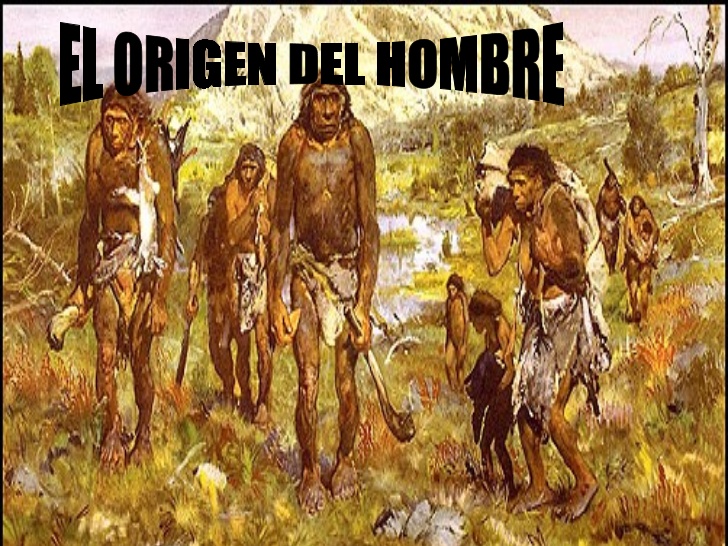 El Origen Del Hombre. | Biología | Aparición De La Vida | Wikisabio