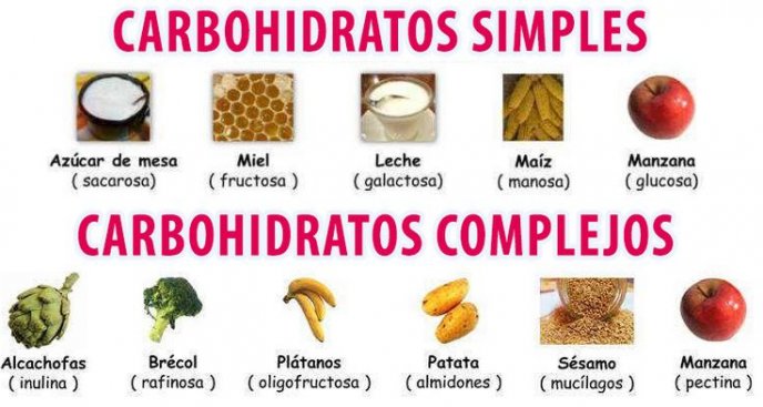 Carbohidratos | Biología | On Fuentes De Energía | Wikisabio