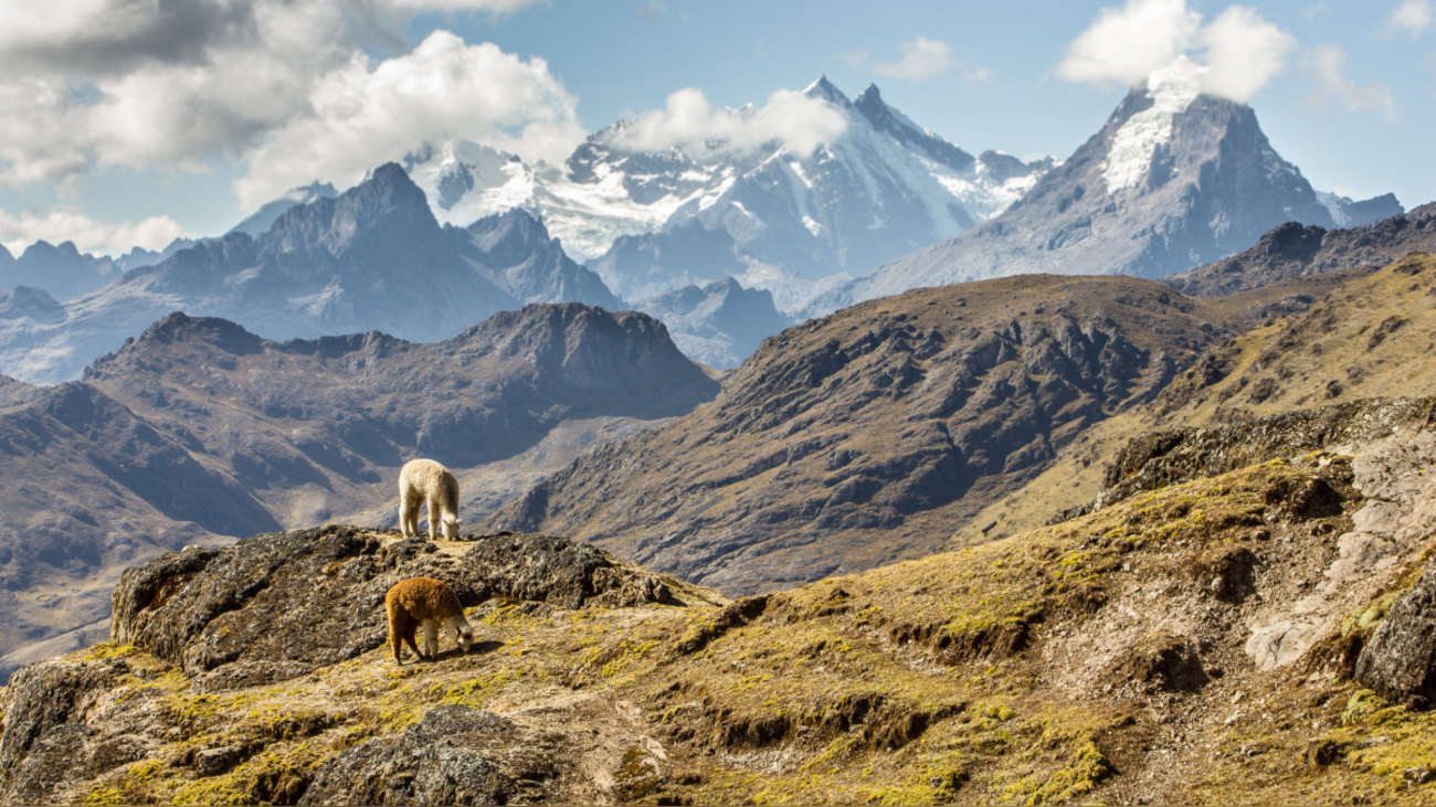 La Cordillera De Los Andes. Los Andes, Recorren El Oeste De Sudamérica